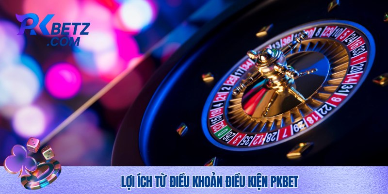 Vai trò quan trọng của điều kiện điều khoản Pkbet
